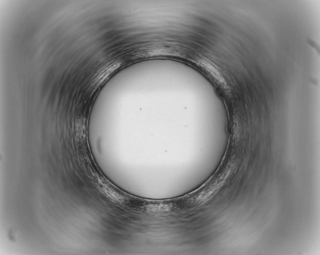 X0000094940793200712201114