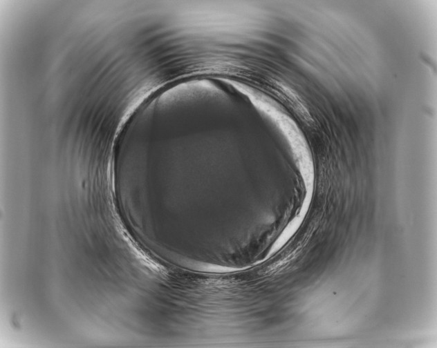 X0000094940796200712201114