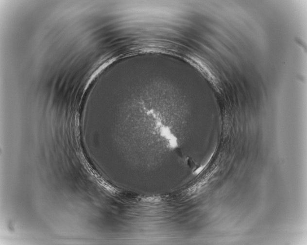 X0000094940798200712201114