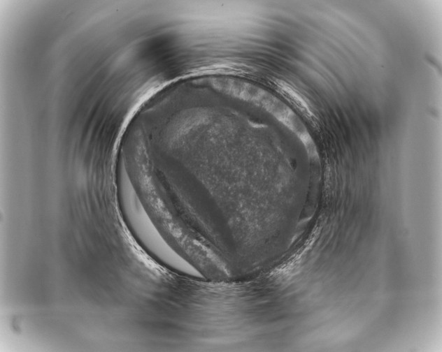 X0000094940800200712201113