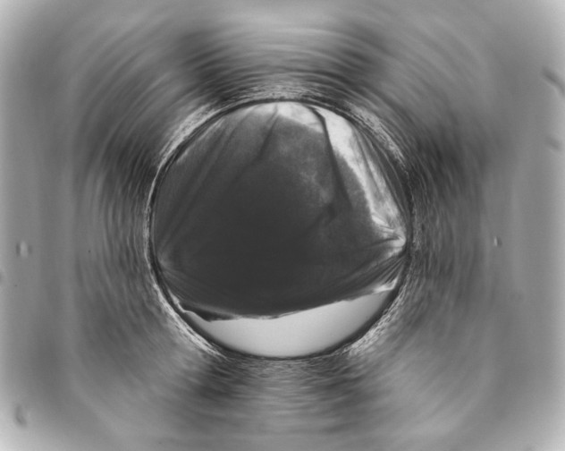 X0000094940802200712201113