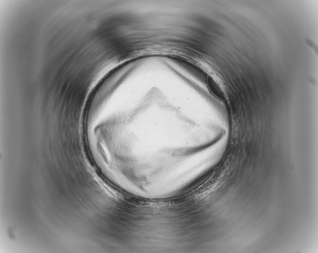 X0000094940803200712201113