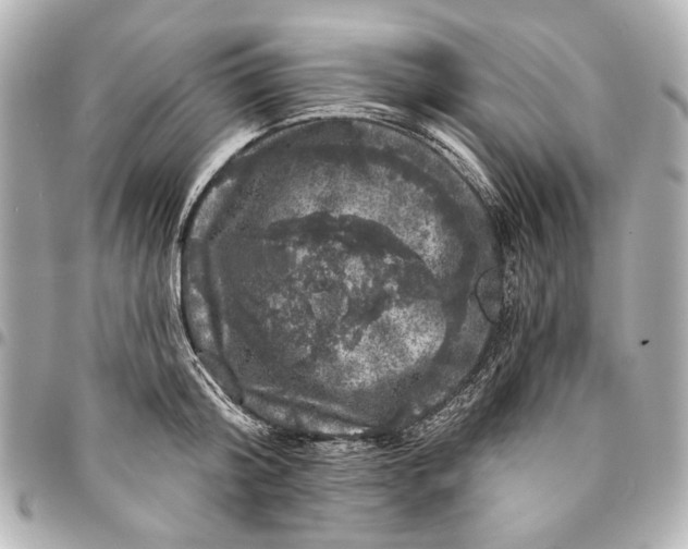 X0000094940804200712201113