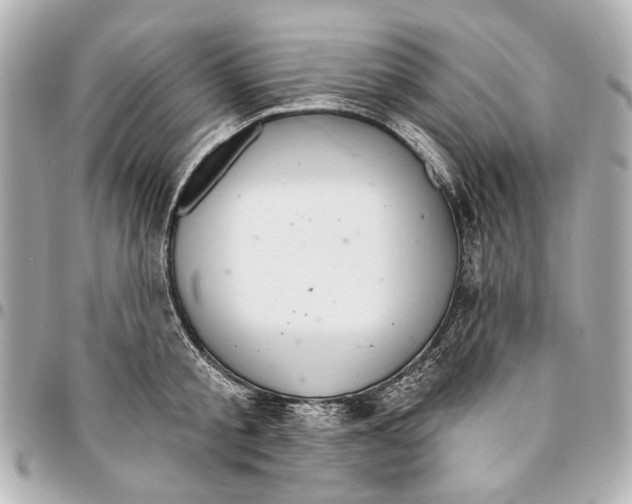 X0000094940805200712201113