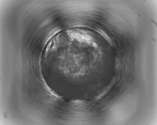 X0000094940806200712201113