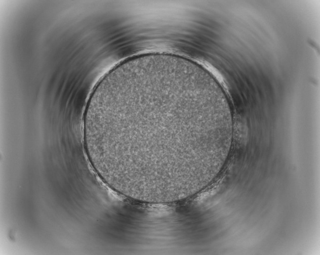 X0000094940807200712201113