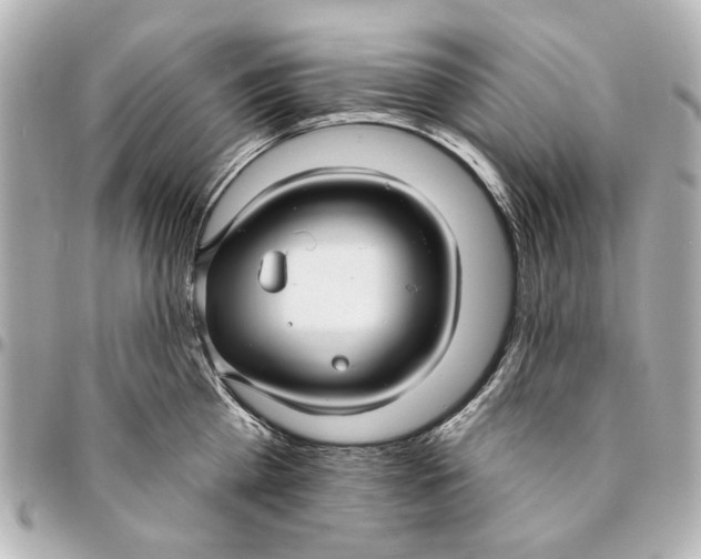 X0000094940809200712201113