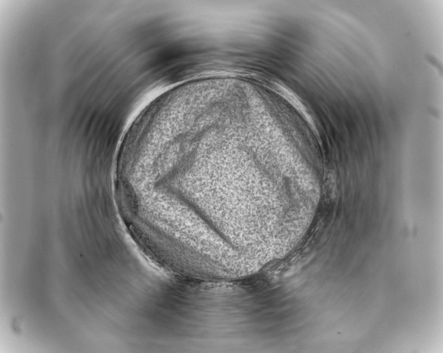 X0000094940811200712201113