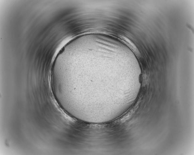 X0000094940812200712201113