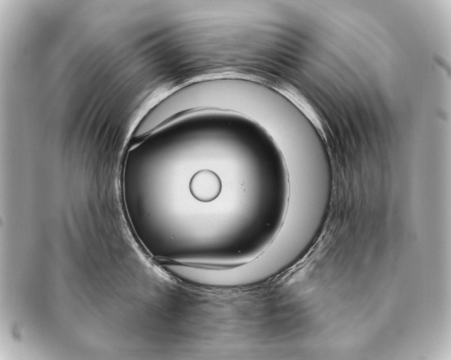 X0000094940813200712201113