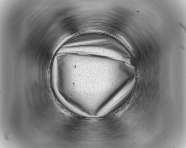 X0000094940814200712201113