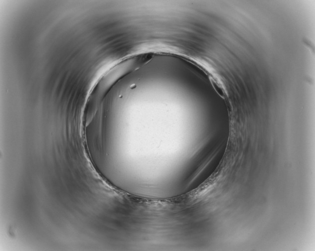 X0000094940815200712201113