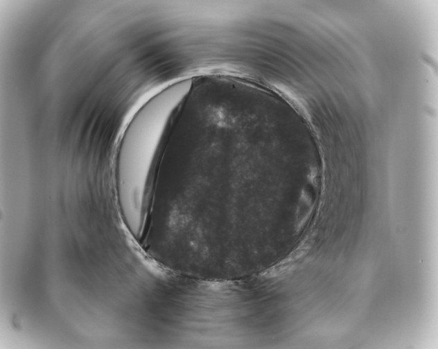 X0000094940816200712201113