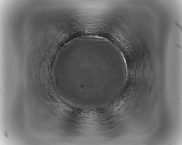 X0000094940817200712201112