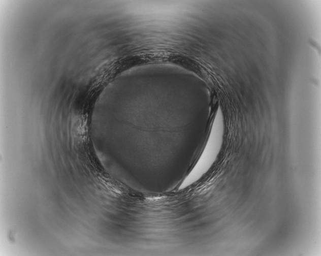 X0000094940818200712201112