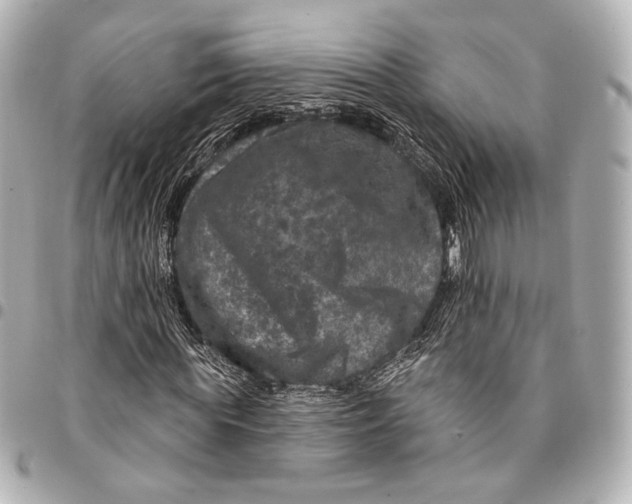 X0000094940819200712201112