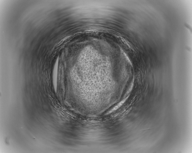 X0000094940821200712201113