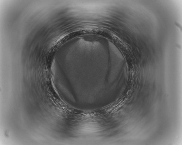 X0000094940822200712201113