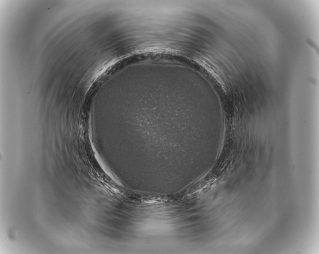 X0000094940823200712201113