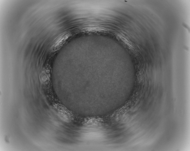 X0000094940824200712201113