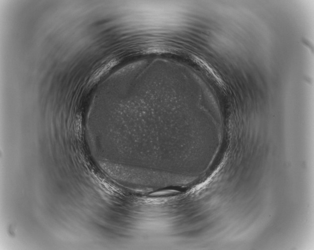 X0000094940825200712201113