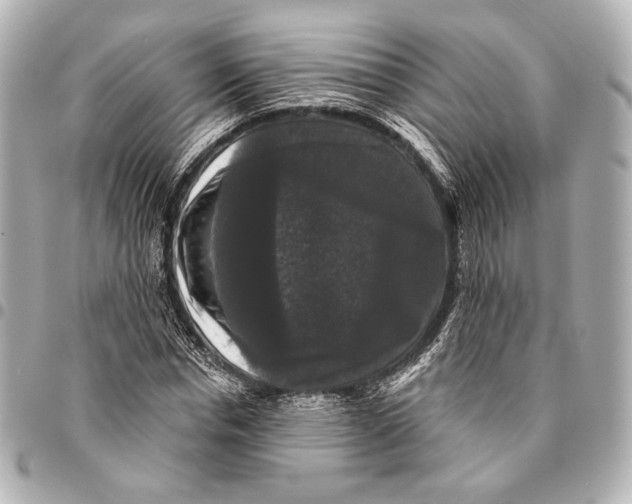 X0000094940826200712201113