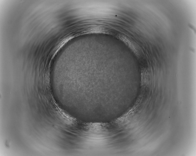 X0000094940828200712201113