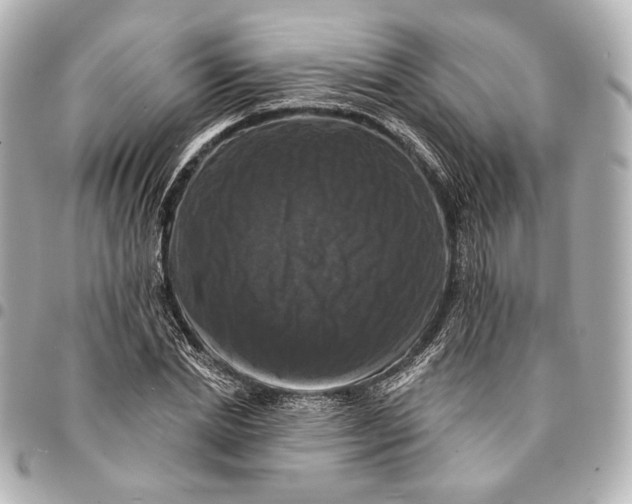 X0000094940830200712201113