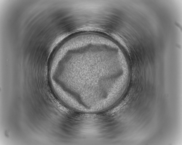 X0000094940831200712201113