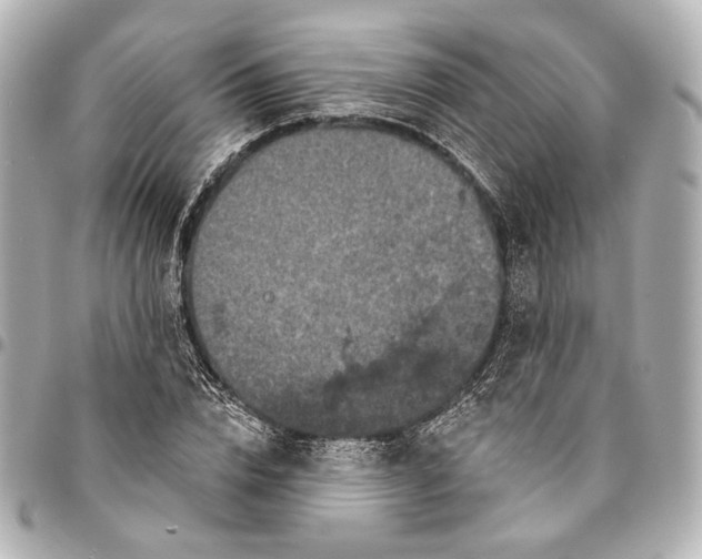 X0000094940832200712201113