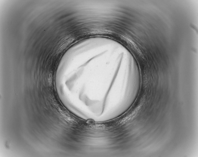 X0000094940833200712201113