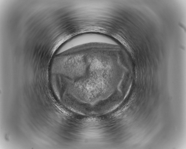 X0000094940834200712201113