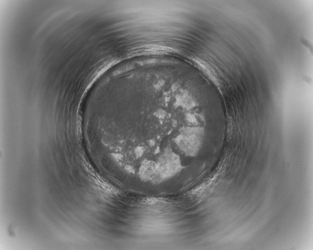 X0000094940835200712201113