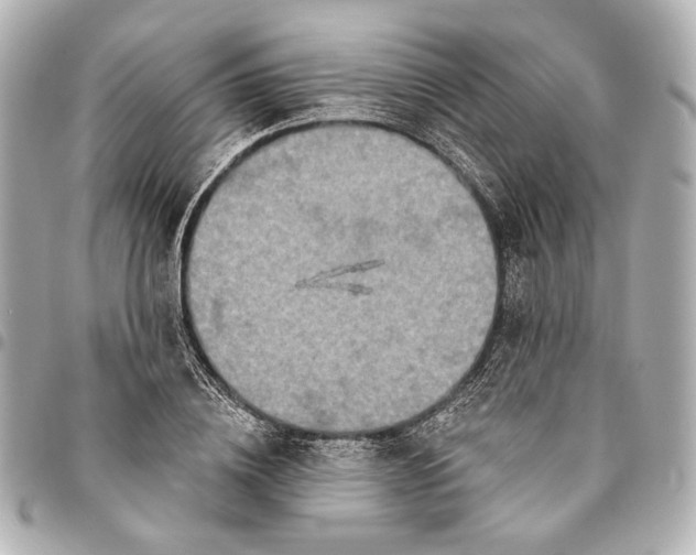 X0000094940836200712201113