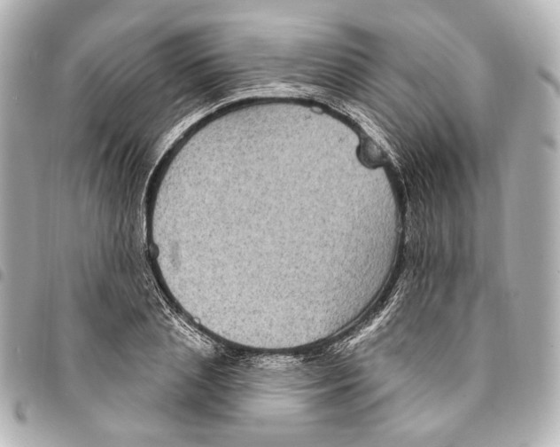 X0000094940837200712201113