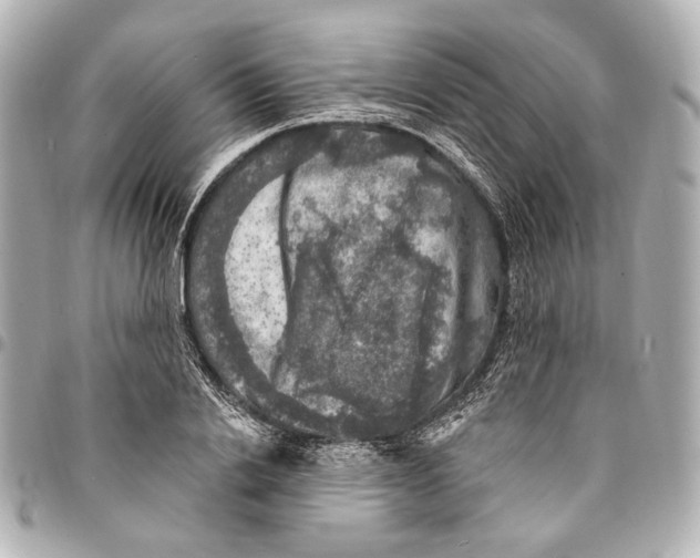 X0000094940838200712201113