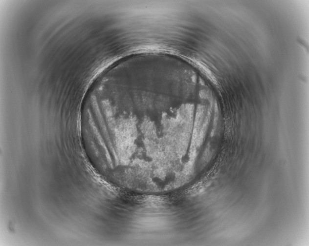 X0000094940839200712201113