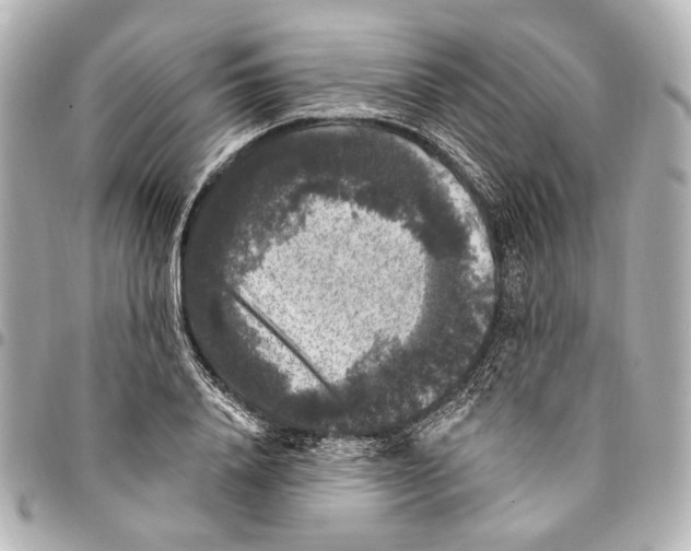 X0000094940840200712201113