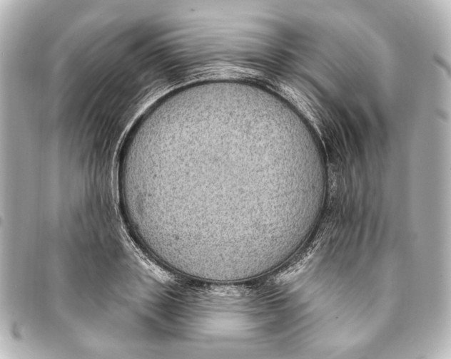 X0000094940843200712201113