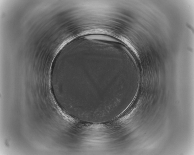 X0000094940845200712201113