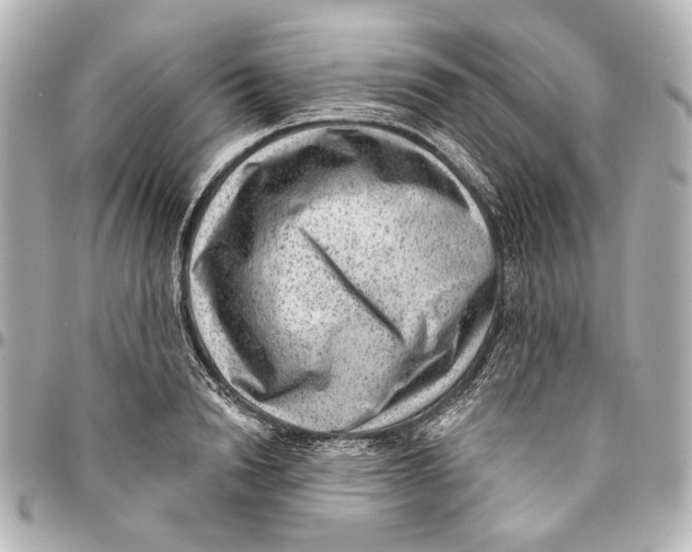 X0000094940846200712201113