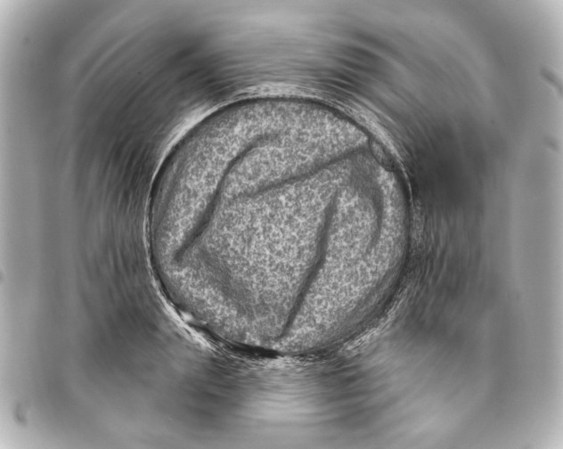 X0000094940847200712201113