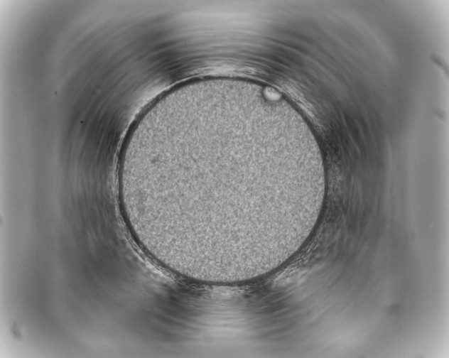 X0000094940848200712201113