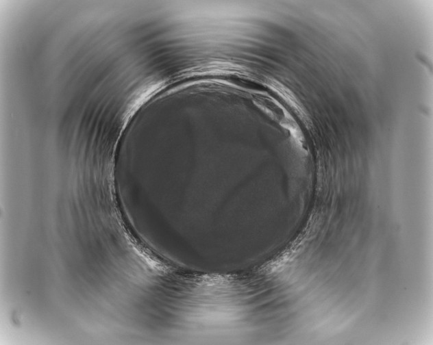 X0000094940850200712201113