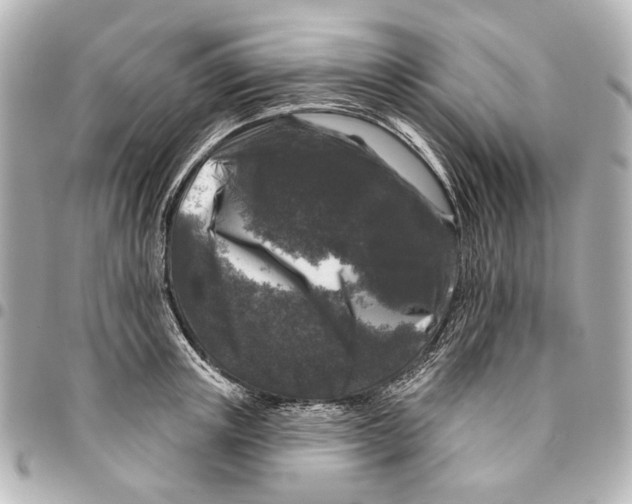 X0000094940851200712201113