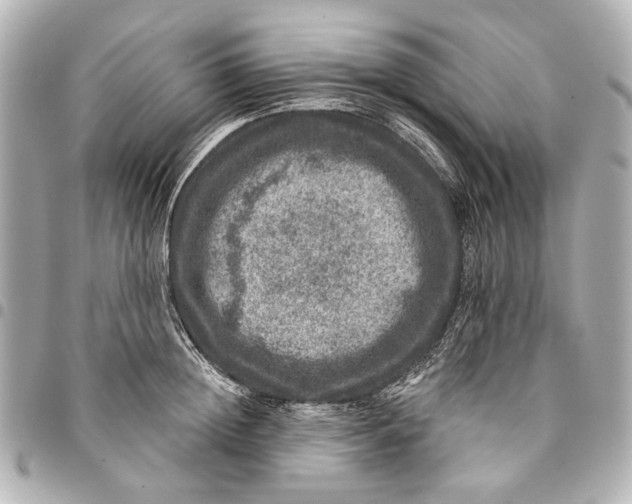 X0000094940852200712201113