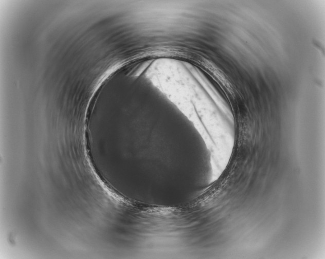 X0000094940853200712201113