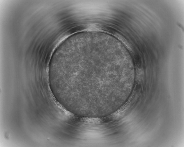 X0000094940856200712201113