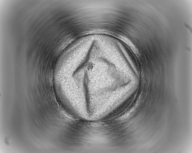 X0000094940857200712201113