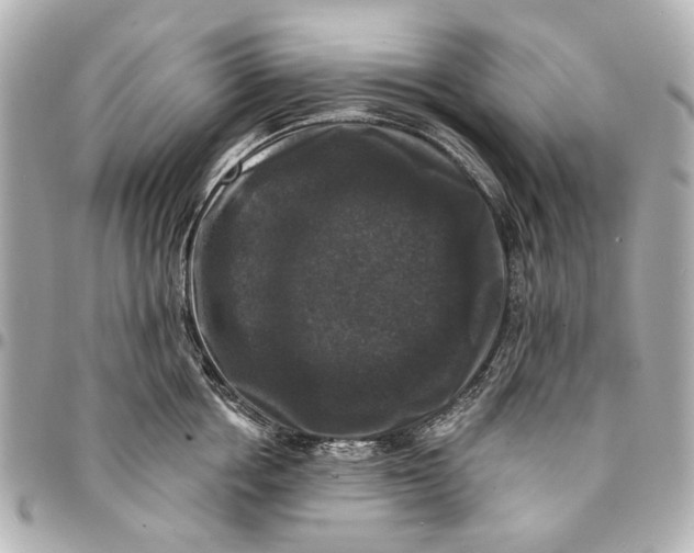 X0000094940858200712201113